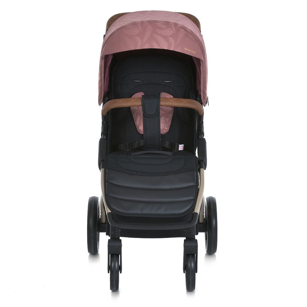 Коляска прогулянкова ME 1053G-2 DYNAMIC PRO Special Pink